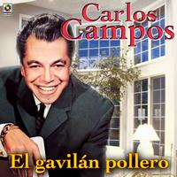 Carlos Campos - El Gavilan Pollero