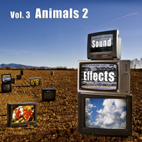Sound Effects - Sound Effects Vol. 3 - Animals 2