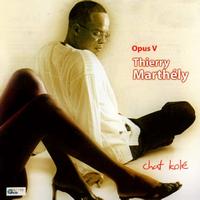 Thierry Marthély - Opus V (Chat kolé)