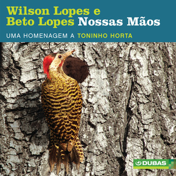Wilson Lopes & Beto Lopes - Nossas Mãos - Homenagem a Toninho Horta
