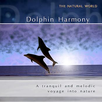 Neil Barrett Experience - Dolphin Harmony
