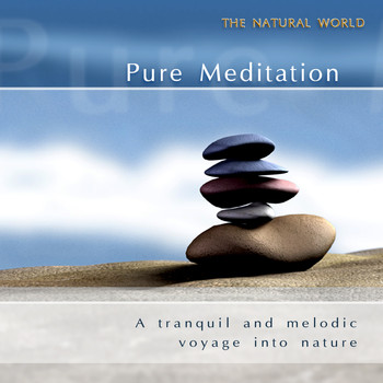 Neil Barrett Experience - Pure Meditation