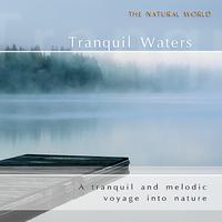 Neil Barrett Experience - Tranquil Waters