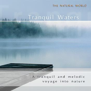 Neil Barrett Experience - Tranquil Waters