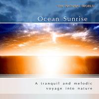 Neil Barrett Experience - Ocean Sunrise