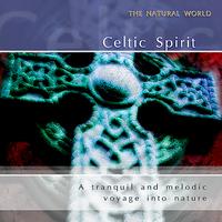 Neil Barrett Experience - Celtic Spirit