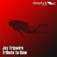 Jay Tripwire - Tribute to Raw - EP