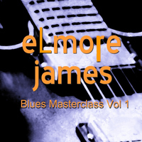 Elmore James - Blues Masterclass, Vol. 1