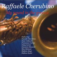 Raffaele Cherubino - My Sound In the Groove