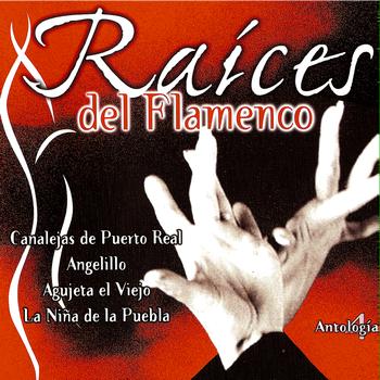 Various Artists - Raíces Del Flamenco (Antología 4)