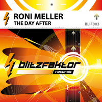 Roni Meller - The Day After