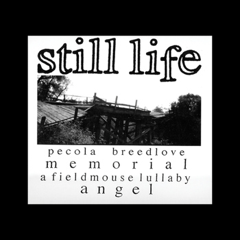 Still Life - Perdoname Madre