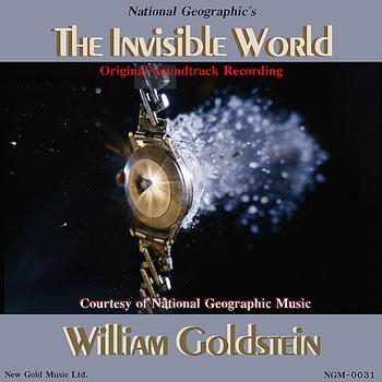 William Goldstein - The Invisible World