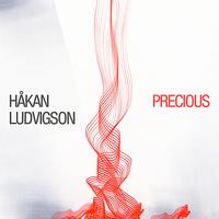 Hakan Ludvigson - Precious