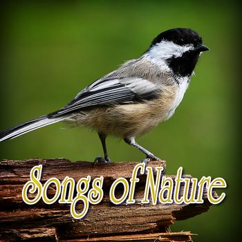 Nature Sound - Songs of Nature (Nature Sounds)