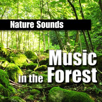 Nature Sounds - Music in the Forest (Music and Nature Sound)