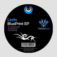 Leeks - Blue Print EP