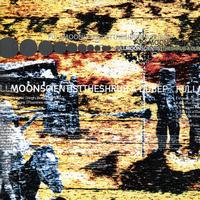 Full Moon Scientist - Shrub-A-Dub EP