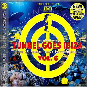 Various Artists - Tunnel goes Ibiza Vol. 6 (Web Edition)