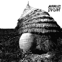 Miracles - Ovum