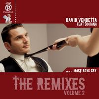 David Vendetta - Make Boys Cry (The Remixes, Vol. 2)