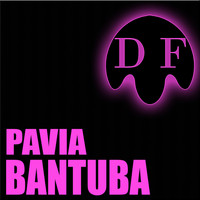Pavia - Bantuba