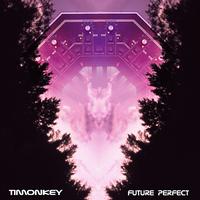 Timonkey - Future Perfect