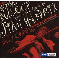 Hiram Bullock - Hiram Bullock Plays The Music Of Jimi Hendrix