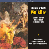 Wiener Symphoniker - Wagner: Walküre, Vol. 3