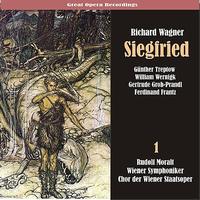 Wiener Symphoniker - Wagner: Siegfried, Vol. 1