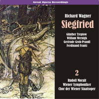 Wiener Symphoniker - Wagner: Siegfried, Vol. 2