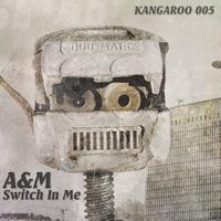A&M - Switch In Me