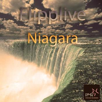 Flipplive - Niagara