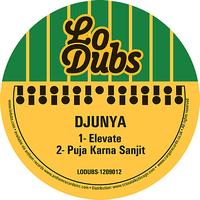 Djunya - Elevate - Single
