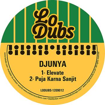 Djunya - Elevate - Single