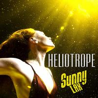 Sunny Lax - Heliotrope