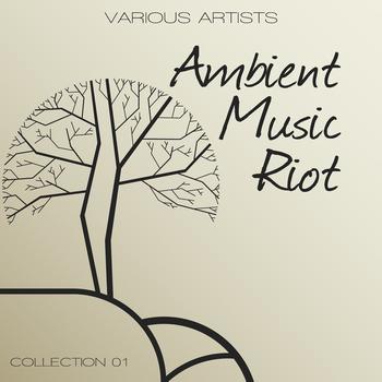 Various Artists - Ambient Music Riot, Collection 1