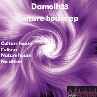 Damolh33 - Culture house ep