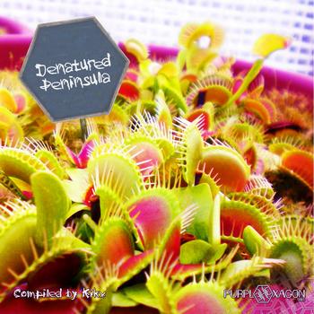 Various Artist - Denatured Peninsula