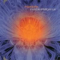 MANDORLA - Invisible Intelligence