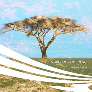 Various Artists - Shades of World Music Vol. 12