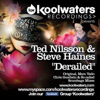 Ted Nilsson & Steve Haines - Derailed