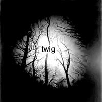The Nervous Return - twig