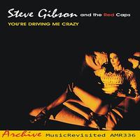 Steve Gibson - You're Driving Me Crazy