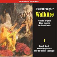 Wiener Symphoniker - Wagner: Walküre, Vol. 1
