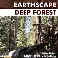 Earthscape - Deep Forest