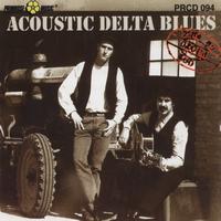 Carlo Ambrosio - Acoustic Delta Blues