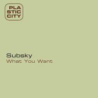 Subsky - What U Want