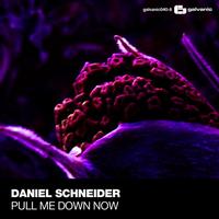 Daniel Schneider - Pull Me Down Now