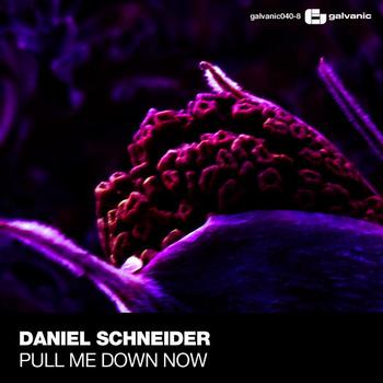 Daniel Schneider - Pull Me Down Now
